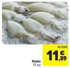 Carrefour Market Sepia oferta