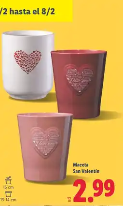Lidl Maceta San Valentín oferta