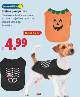 Lidl Disfraz para perros oferta