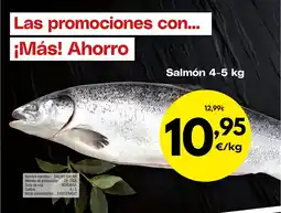 FROIZ Salmón oferta