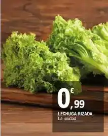 E.Leclerc Lechuga rizada oferta