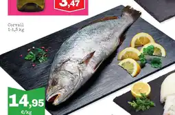 Sorli Corvall oferta