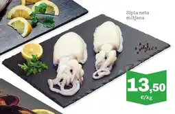 Sorli Sípia neta mitjana oferta