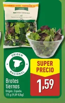 ALDI Brotes tiernos oferta