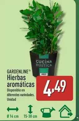 ALDI GARDENLINE Hierbas aromáticas oferta