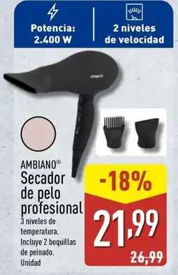 ALDI AMBIANO Secador de pelo profesional oferta