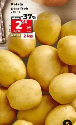 Dia Patata para freir oferta