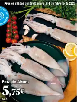 Gadis Pota de Altura oferta