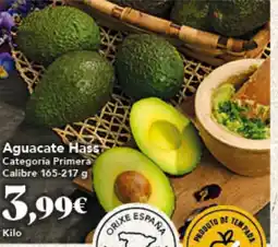 Gadis Aguacate Hass oferta