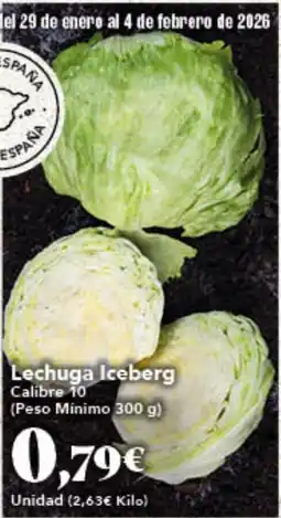 Gadis Lechuga Iceberg oferta