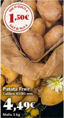 Gadis Patata Freir oferta