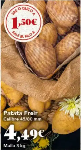 Gadis Patata Freir oferta