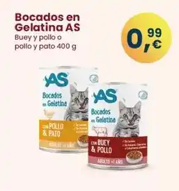 As - bocados en gelatina