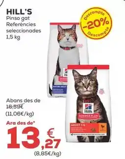 Kiwoko Hill's - pienso gato oferta