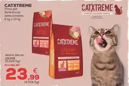 Kiwoko Catxtreme - pienso gato oferta