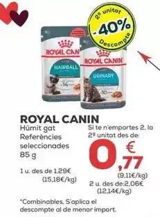 Kiwoko Royal canin - húmedo gato oferta