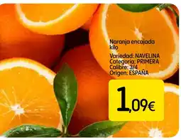 Economy Cash Naranja encajada oferta