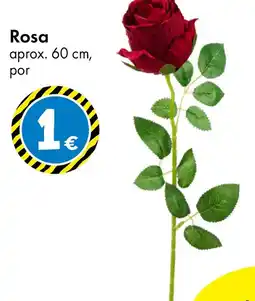 TEDi Rosa oferta
