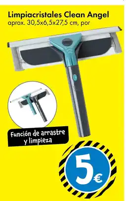 TEDi Limpiacristales Clean Angel oferta