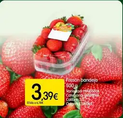 Dialprix Fresón bandeja oferta