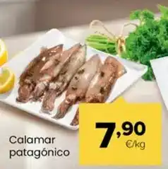 Autoservicios Familia Calamar patagonico oferta