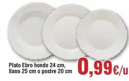 FROIZ Plato Ebro hondo 24 cm, llano 25 cm o postre 20 cm oferta