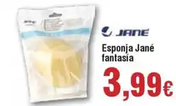 FROIZ JANE Esponja fantasía oferta