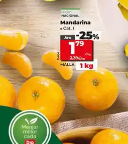 Maxi Dia Mandarina oferta