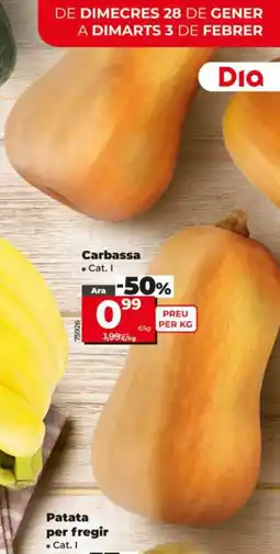 Maxi Dia Carbassa oferta