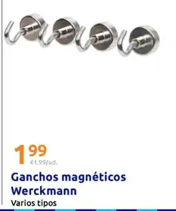 Action Ganchos magnéticos Werckmann oferta