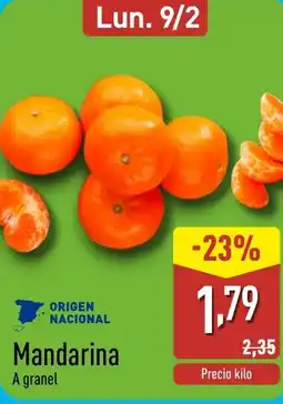 ALDI Mandarina oferta