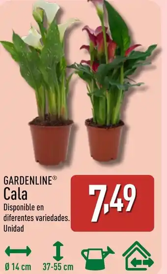ALDI GARDENLINE Cala oferta
