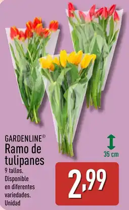 ALDI GARDENLINE Ramo de tulipanes oferta