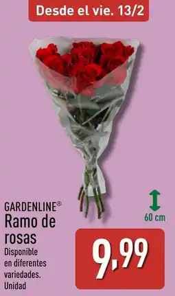 ALDI GARDENLINE Ramo de rosas oferta