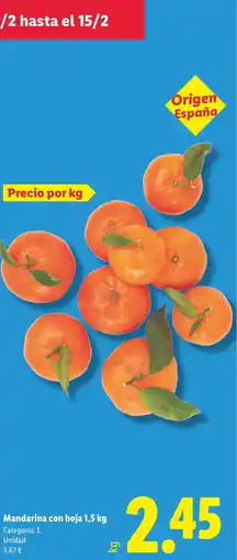 Lidl Mandarina con hoja oferta