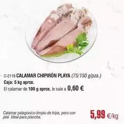 Abordo Ideal - calamar chipirón playa oferta