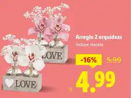 Lidl Arreglo 2 orquídeas oferta