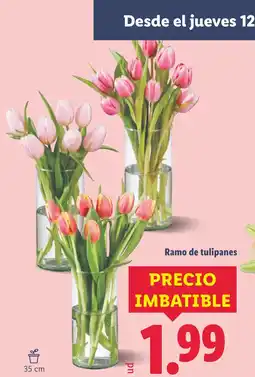 Lidl Ramo de tulipanes oferta