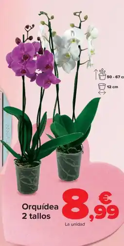 Carrefour Orquídea 2 tallos oferta