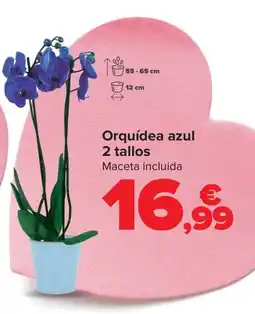 Carrefour Orquídea azul 2 tallos oferta