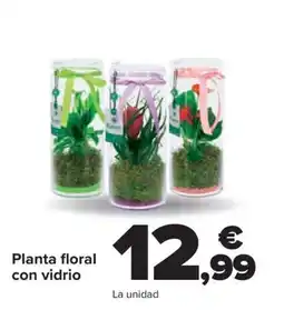 Carrefour Planta floral con vidrio oferta