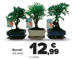 Carrefour Bonsái oferta
