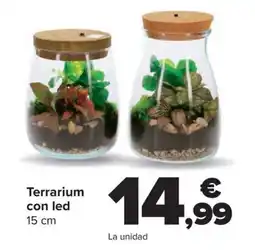Carrefour Terrarium con led 15 cm oferta
