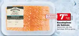 Dia Seleccion de dia - escalopines de salmón oferta