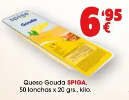 TOP Cash & Carry SPIGA Queso Gouda oferta
