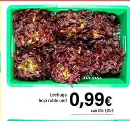 Cash Ifa Lechuga hoja roble oferta