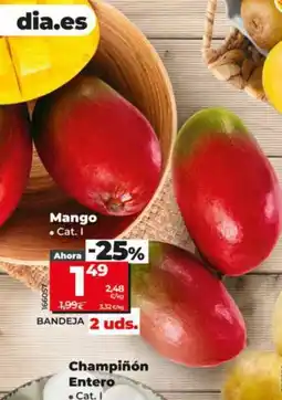 Dia Mango oferta