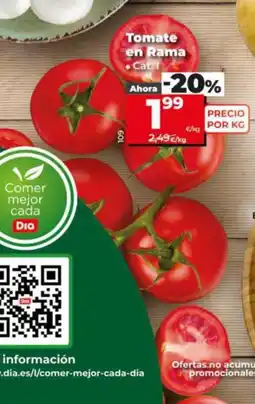 Dia Tomate en Rama oferta