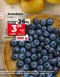 Dia Arándano oferta