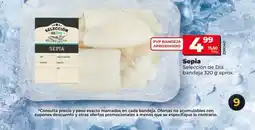 Dia SELECCIÓN DE DIA Sepia oferta